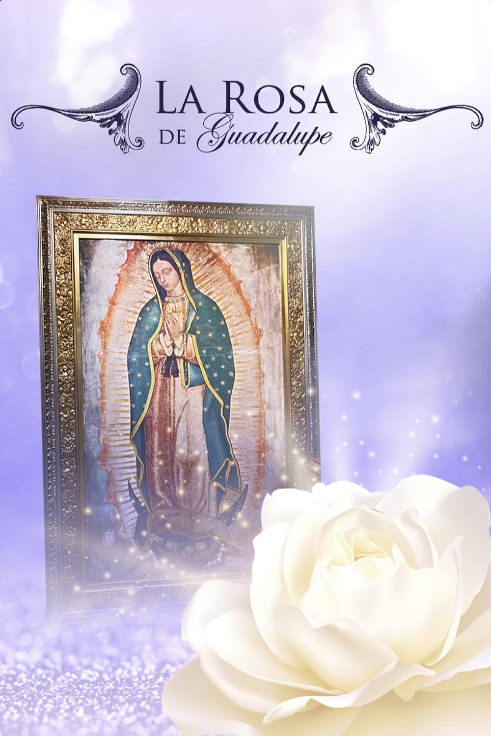 La Rosa de Guadalupe | Descargar capitulos