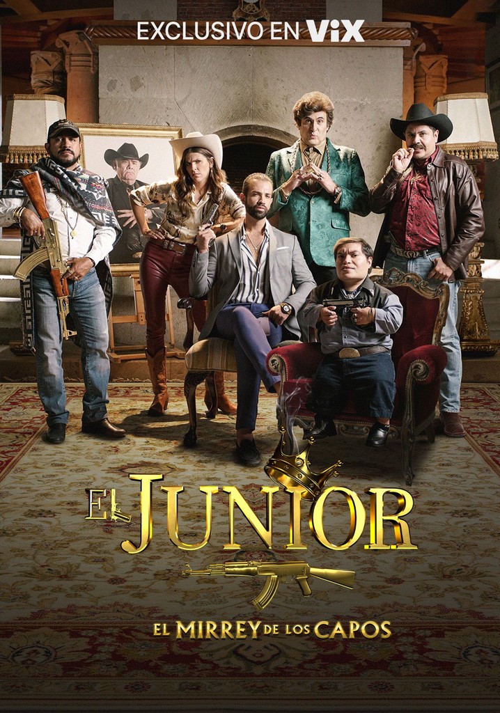 El Junior El Mirrey de los Capos S01[2020][WEB-DL][VIX][1080p][Latino]-TA_FI