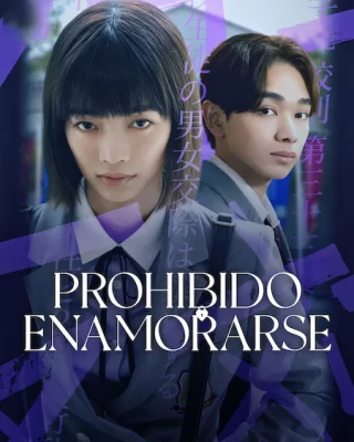 Prohibido enamorarse Temportada 1 [2024] NF [1080p] Completa